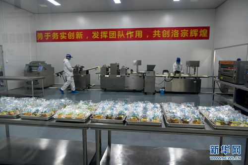 西藏洛隆 以青稞深加工技術(shù)開發(fā)，鋪就高原特色產(chǎn)業(yè)增收路