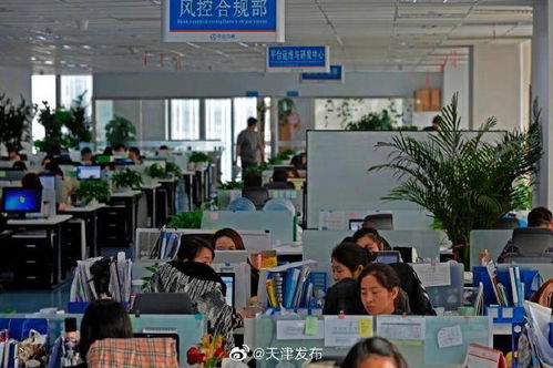 中企云鏈 以創(chuàng)新金融科技服務(wù)安心扎根，以信息技術(shù)咨詢服務(wù)舒心發(fā)展